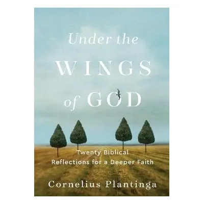 Under the Wings of God – Twenty Biblical Reflections for a Deeper Faith - Plantinga, Cornelius