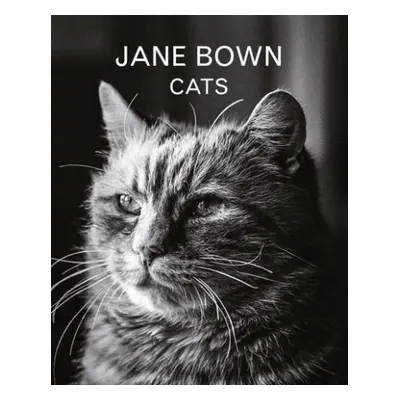 Jane Bown: Cats - Bown, Jane