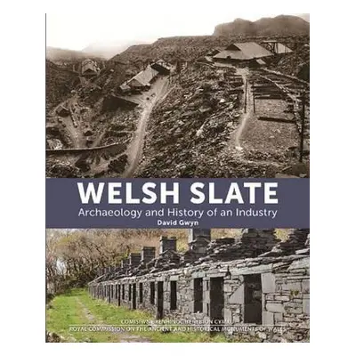 Welsh Slate: Archaeology and History of an Industry - Gwyn, David