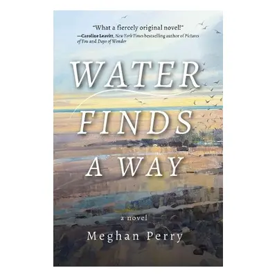 Water Finds a Way a novel - Perry, Meghan