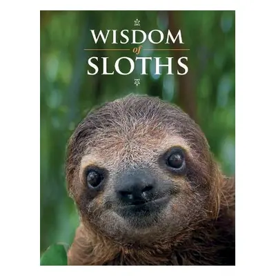 Wisdom of Sloths