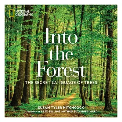 Into the Forest - Hitchcock, Susan Tyler