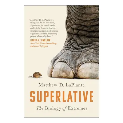 Superlative - LAPLANTE, MATTHEW D.