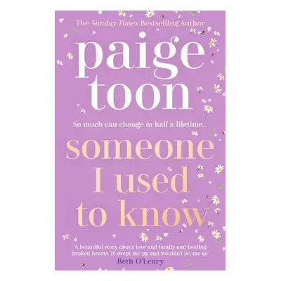 Someone I Used to Know - Toon, Paige