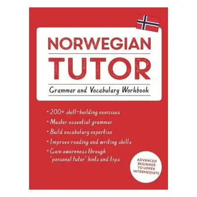 Norwegian Tutor: Grammar and Vocabulary Workbook (Learn Norwegian with Teach Yourself) - Puzey, 