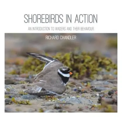 Shorebirds in Action - Chandler, Richard