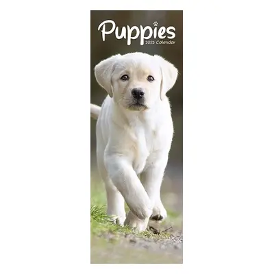 Puppies Slim Calendar 2025 Cute Slimline Calendar - 12 Month