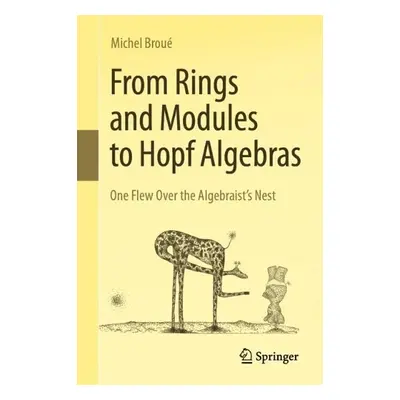 From Rings and Modules to Hopf Algebras - Broue, Michel