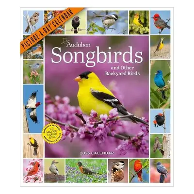 Audubon Songbirds and Other Backyard Birds Picture-A-Day® Wall Calendar 2025 - Society, National