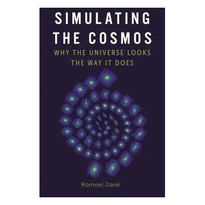 Simulating the Cosmos - Dave, Romeel