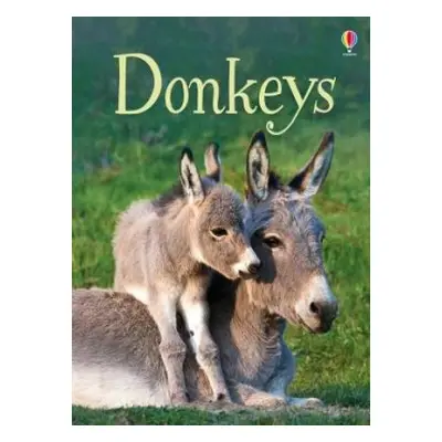 Donkeys - Maclaine, James