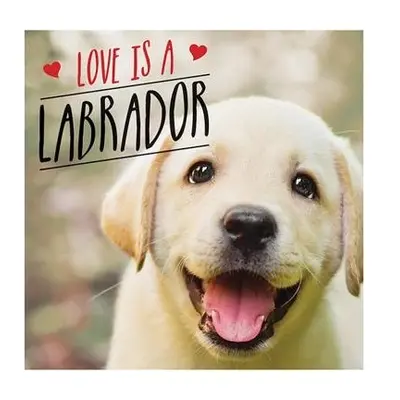 Love is a Labrador - Ellis, Charlie