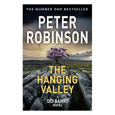 Hanging Valley - Robinson, Peter