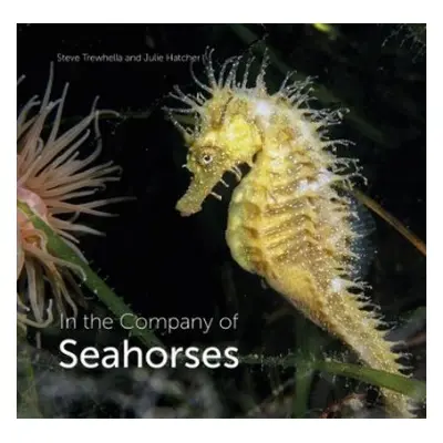 In the Company of Seahorses - Trewhella, Steve a Hatcher, Julie