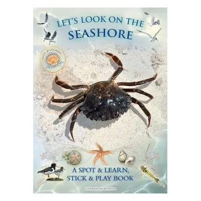 Let's Look on the Seashore - Buckingham, Caz a Pinnington, Andrea