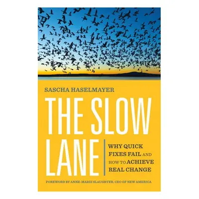 Slow Lane - Haselmayer, Sascha a Slaughter, Anne-Marie