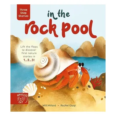 Three Step Stories: In the Rock Pool - Millard, Will