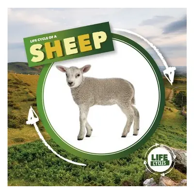 Life Cycle of a Sheep - Holmes, Kirsty