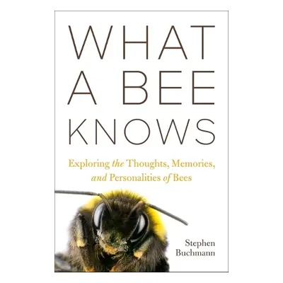 What a Bee Knows - Buchmann, Stephen L