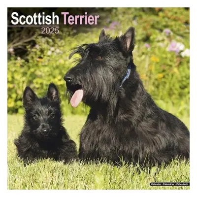 Scottish Terrier Calendar 2025 Square Dog Breed Wall Calendar - 16 Month