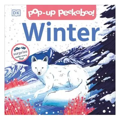 Pop-up Peekaboo! Winter - DK