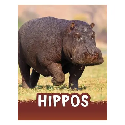 Hippos - Jaycox, Jaclyn