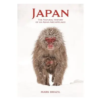 Japan - Brazil, Mark