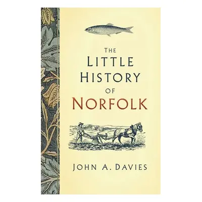 Little History of Norfolk - Davies, John A.