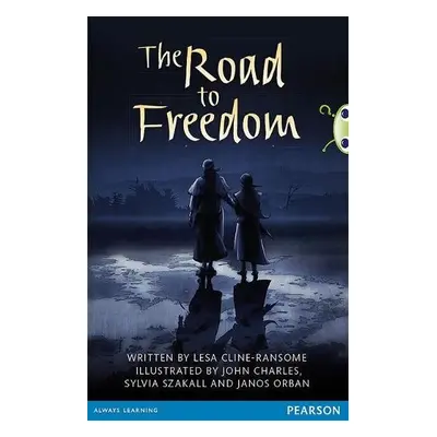 Bug Club Pro Guided Year 6 The Road to Freedom - Ransome, Lesa