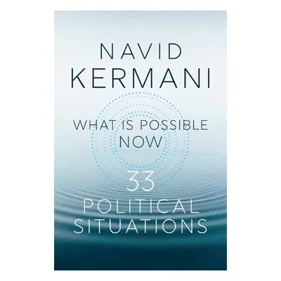 What is Possible Now - Kermani, Navid