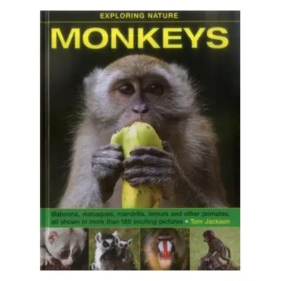 Exploring Nature: Monkeys - Jackson Tom