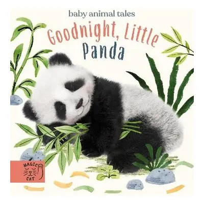 Goodnight, Little Panda - Wood, Amanda