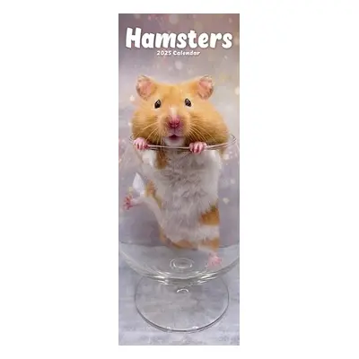 Hamsters Slim Calendar 2025 Cute Slimline Calendar - 12 Month