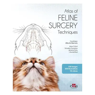 Feline surgery - Barneto, Alberto a Calvet, Anna a Cervantes, Salvador a Pena, Antonio a Real, L