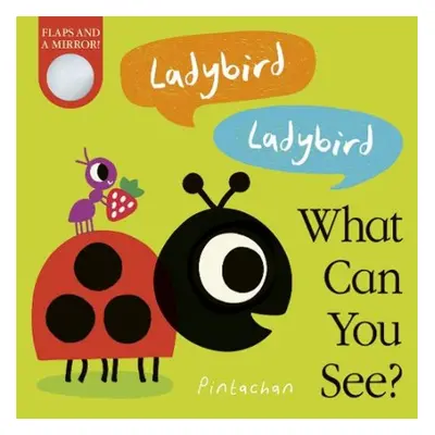 Ladybird! Ladybird! What Can You See? - Hepworth, Amelia