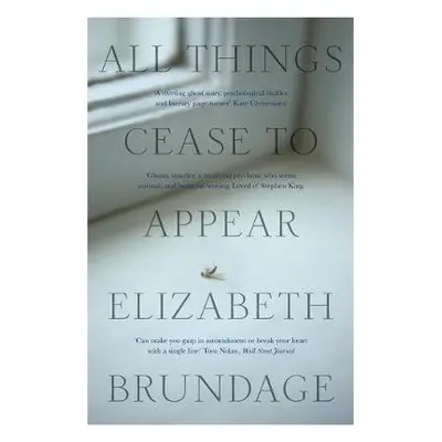 All Things Cease to Appear - Brundage, Elizabeth