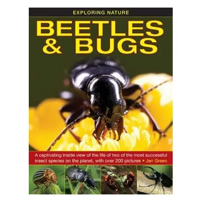 Exploring Nature: Beetles a Bugs - Green, Jen