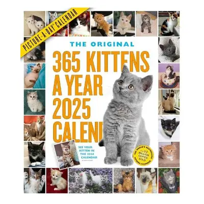 365 Kittens-A-Year Picture-A-Day® Wall Calendar 2025 - Calendars, Workman