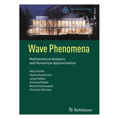 Wave Phenomena - Dorfler, Willy a Hochbruck, Marlis a Kohler, Jonas a Rieder, Andreas a Schnaube