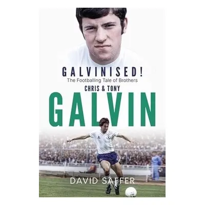 Galvinised - Saffer, David