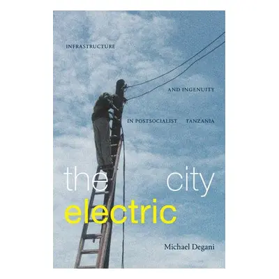 City Electric - Degani, Michael