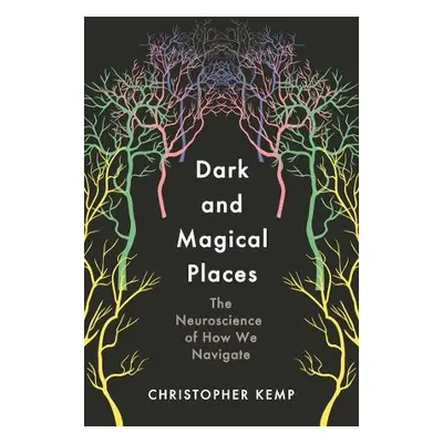 Dark and Magical Places - Kemp, Christopher