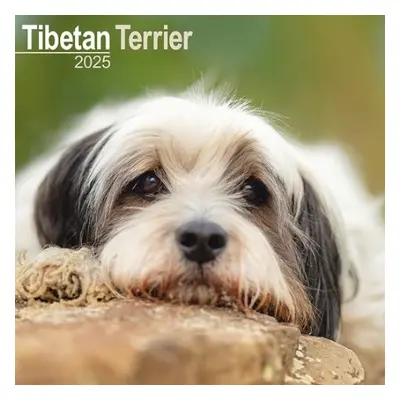 Tibetan Terrier Calendar 2025 Square Dog Breed Wall Calendar - 16 Month