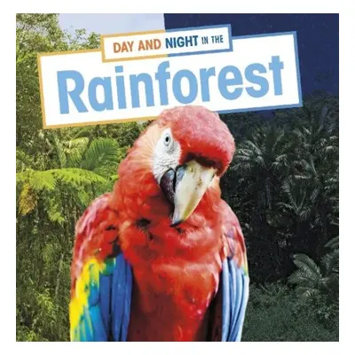 Day and Night in the Rainforest - Labrecque, Ellen