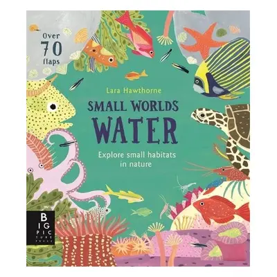 Small Worlds: Water - Murray, Lily