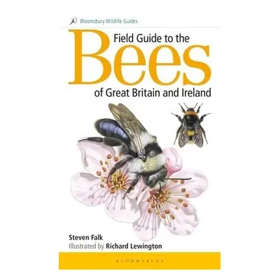 Field Guide to the Bees of Great Britain and Ireland - Falk, Steven (Author)