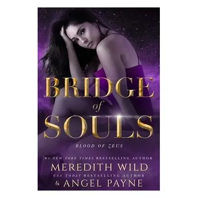 Bridge of Souls - Wild, Meredith a Payne, Angel