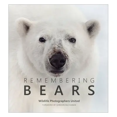 Remembering Bears