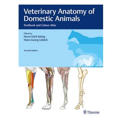 Veterinary Anatomy of Domestic Animals