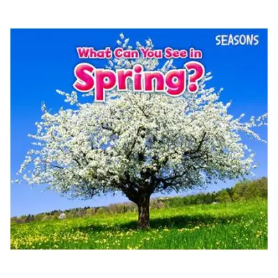 What Can You See In Spring? - Smith, Sian